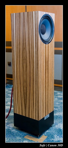 2006 - 10 - Salon hifi sofitel -  066